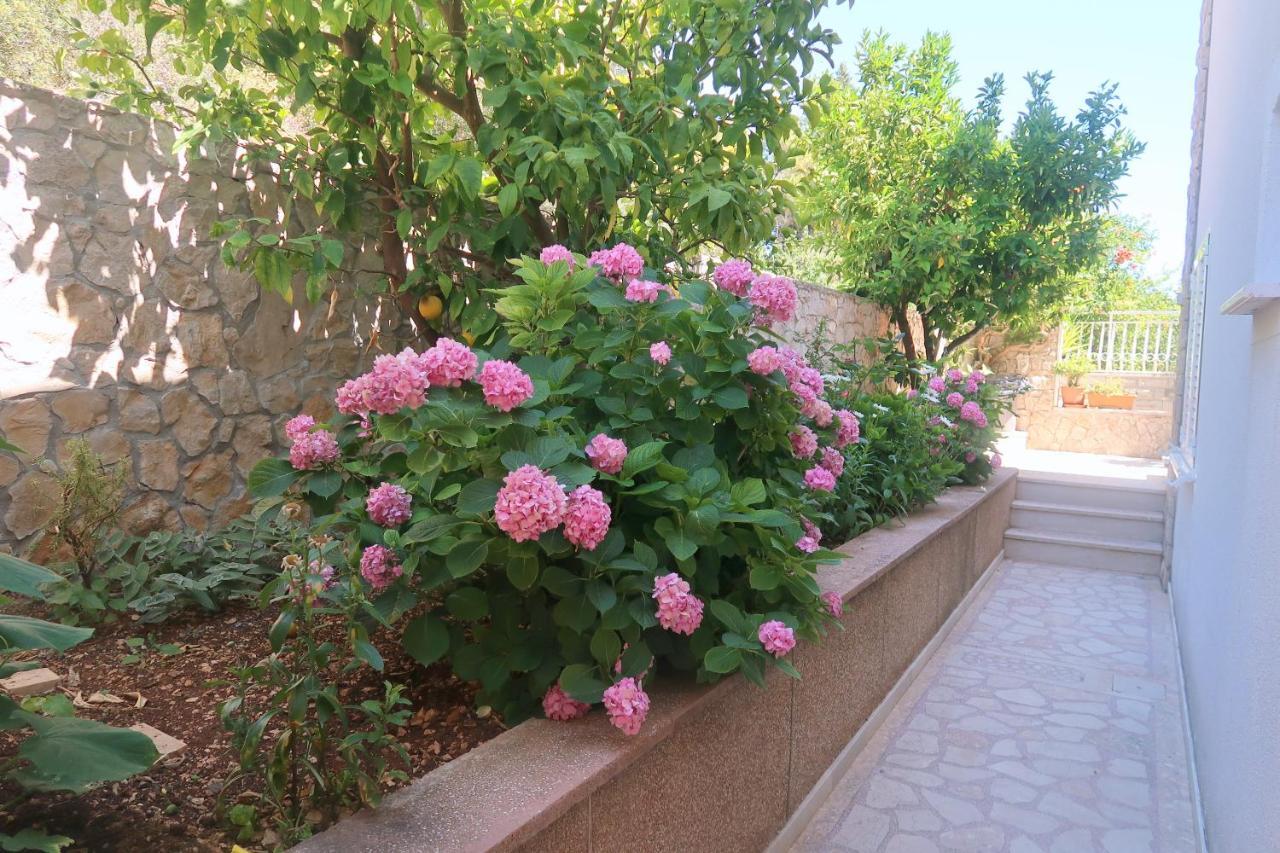 Cvita Apartments Trogir Zewnętrze zdjęcie